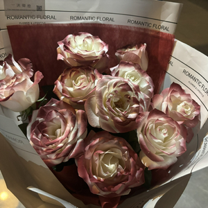 在线播放免费人成视频在线观看
