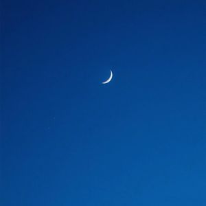 在线播放免费人成视频在线观看
